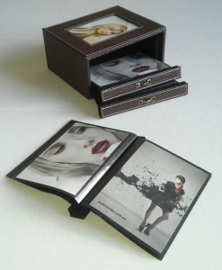Crocodile Brown Box 2